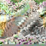 Kaka Fitri profile icon