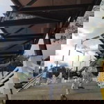 Donna Robel profile icon