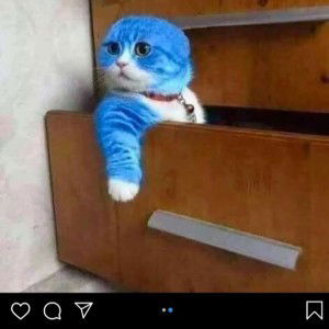 auni husna profile icon