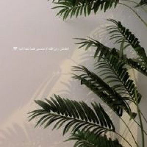 Ummu Afaf profile icon