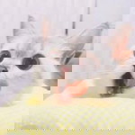 อังคณา สุขใจ profile icon