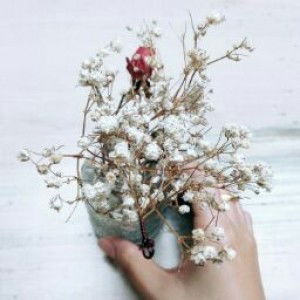 Jane El profile icon