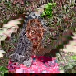 Emelia Sorubou profile icon