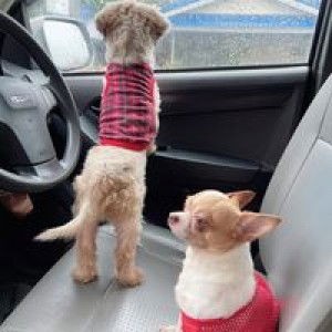 Maky Udom profile icon