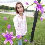 Laddawan Kongsong profile icon