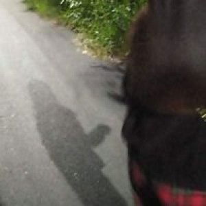 นิลประไพ บุญครอง profile icon