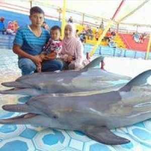 Rika Vitria profile icon