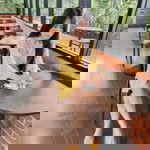 Nattha Khemma profile icon