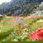 วีรินทร์ภัทร ลักษณ์ศิรา profile icon