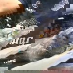 Pongpanit profile icon