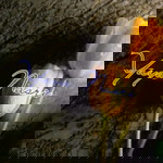 nor hidayah nasri profile icon
