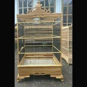 Mbok Tukinem profile icon