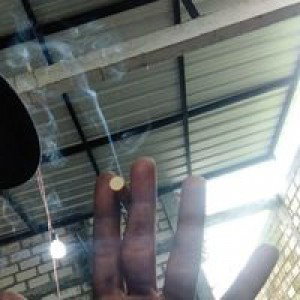 Wong Kampong profile icon