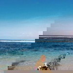 Fadhilah Zahrah profile icon