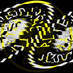 Altered Lyric TV profile icon