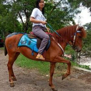 Noor Kasanah profile icon