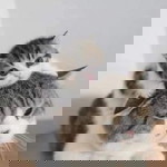 Yuli Nur Hasanah profile icon