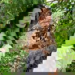 Rujira Ngeonbumrung profile icon