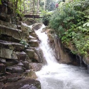 khariss betty profile icon