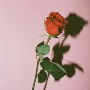 siti hazwani profile icon