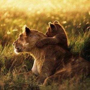 Rutaba maryam profile icon