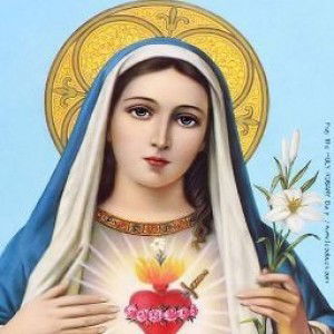 Ma. Cristina Andrade profile icon