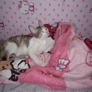 Ashly Aragon Mayormita profile icon