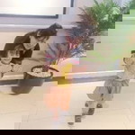 Lisna Eka profile icon