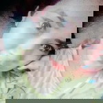 Maryjane Daguman profile icon