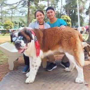 Hazel Ragutero Llanto-Addun profile icon