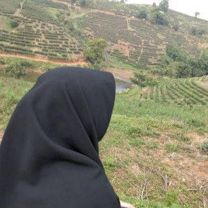 Siti maulidia lestari profile icon