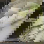 Eny Canss profile icon