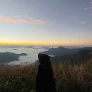 Chamaiporn Ps profile icon