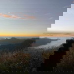 Chamaiporn Ps profile icon