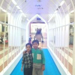 DinaNasa Dinasa profile icon