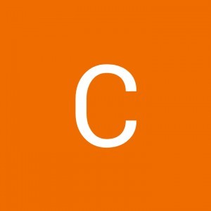 Chan Huiting profile icon