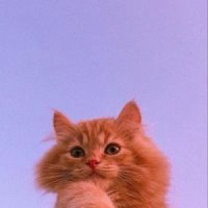 Putri Tantyas profile icon