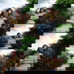 จิรภิญญา แก้วศรีงาม profile icon