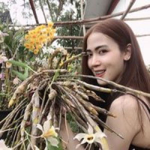 Namwhan Jutaporn profile icon