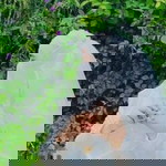 Yaseeroh Kammee profile icon