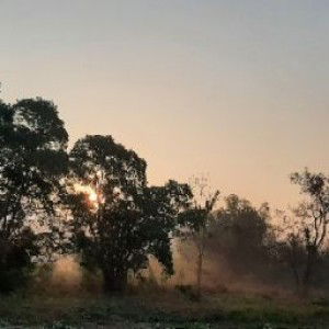 Benjamas Kaewwanna profile icon