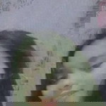 Cherry Ann Avelino profile icon