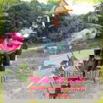 Maricel Cayat profile icon