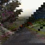 Ririn Adella RA profile icon