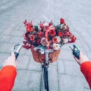 Jdb Ippiet profile icon