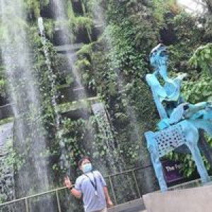 Norfa Amini-Choi profile icon