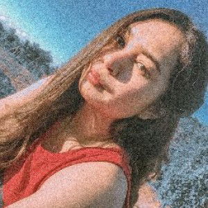 Stelle BV profile icon