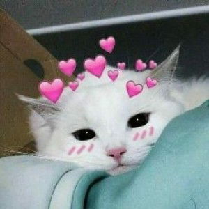 Mantasya Aulia Husni profile icon