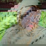 silfia nanda fadila profile icon