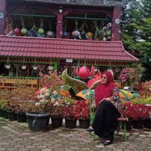 لولي جونييرتي profile icon